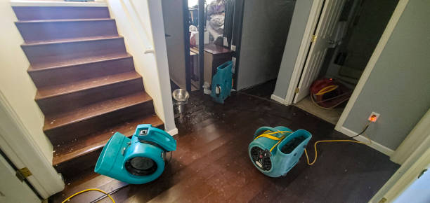 Best 24/7 water damage repair  in Solvang, CA