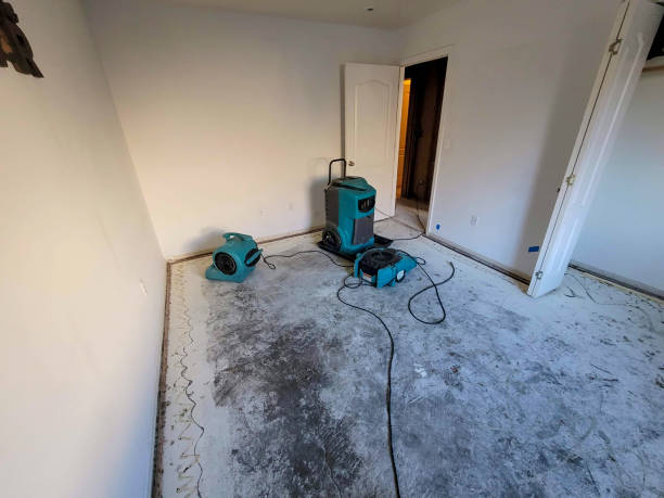Best Water damage cleanup near me  in Solvang, CA
