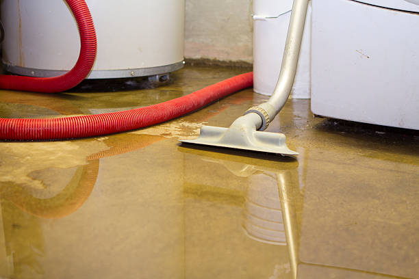 Best Flood restoration services  in Solvang, CA